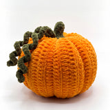 Pumpkin, handmade crochet amigurumi by Ana Chic