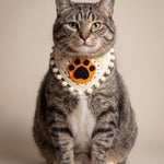Tabby cat wearing the small cream crochet bandana with an orange paw-print patch — handmade by Ana Chic